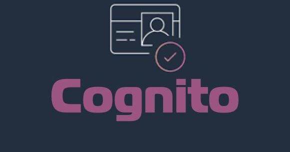 judian-cognito preview image