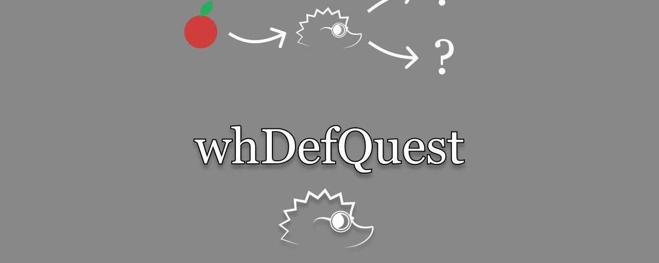 whQuestDef preview image